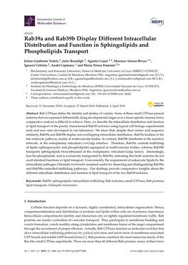 Rab39a and Rab39b Display Different Intracellular Distribution and Function in Sphingolipids and Phospholipids Transport