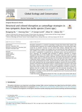 Structural and Colored Disruption As Camouflage Strategies in Two Sympatric Asian Box Turtle Species