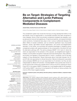Strategies of Targeting Alternative and Lectin Pathway Components in Complement- Mediated Diseases