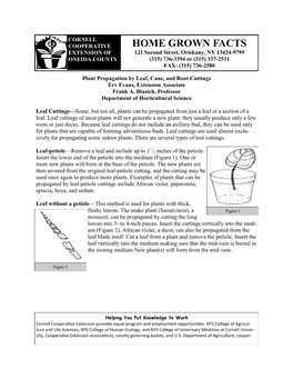 Plant Propagation by Leaf, Cane, and Root Cuttings Erv Evans, Extension Associate Frank A