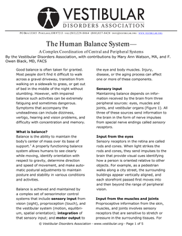 The Human Balance System—