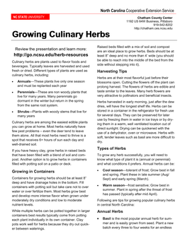 Growing Culinary Herbs