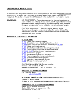 Laboratory 10 - Neural Tissue