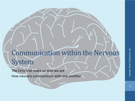 The Cells That Make Us Who We Are How Neurons Communicate With