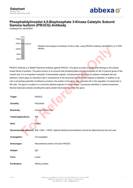 PIK3CG) Antibody Catalogue No.:Abx000651