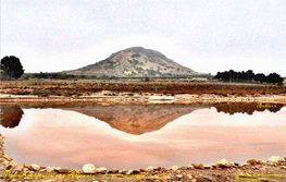 Paseo Geológico Por Alicante Por Luis Angel Alonso Matilla