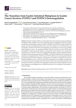 The Transition from Gastric Intestinal Metaplasia to Gastric Cancer Involves POPDC1 and POPDC3 Downregulation