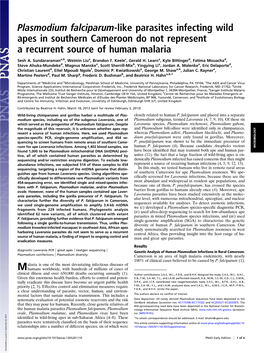 Plasmodium Falciparum-Like Parasites Infecting Wild Apes in Southern Cameroon Do Not Represent a Recurrent Source of Human Malaria