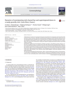 Dynamics of Nonmigrating Mid-Channel Bar and Superimposed Dunes in a Sandy-Gravelly River (Loire River, France)