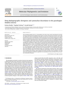 Deep Phylogeographic Divergence and Cytonuclear Discordance in the Grasshopper Oedaleus Decorus