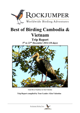 Best of Birding Cambodia & Vietnam