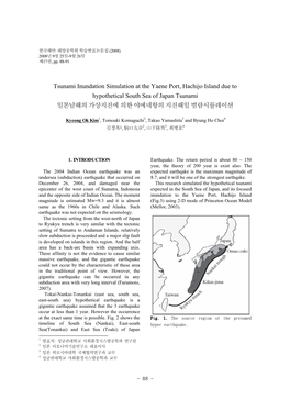 Tsunami Inundation Simulation at the Yaene Port, Hachijo Island Due to Hypothetical South Sea of Japan Tsunami 일본남해의 가상지진에 의한 야에네항의 지진해일 범람시뮬레이션