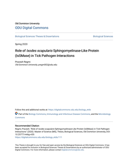 Role of <I>Ixodes Scapularis</I> Sphingomyelinase-Like Protein