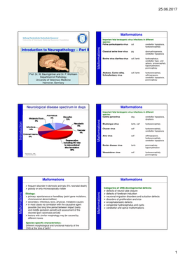 Berlin-2 17 06 22-Handout.Ppt [Kompatibilitätsmodus]