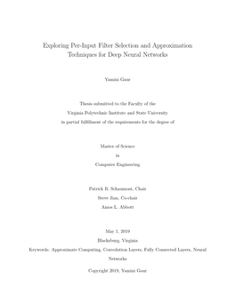 Exploring Per-Input Filter Selection and Approximation Techniques for Deep Neural Networks