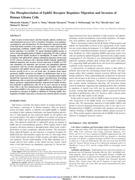 The Phosphorylation of Ephb2 Receptor Regulates Migration and Invasion of Human Glioma Cells