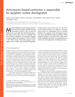 Actin-Myosin–Based Contraction Is Responsible For