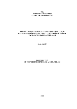 T.C. Akdeniz Üniversitesi Fen Bilimleri Enstitüsü