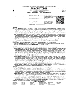 SAN CRISTOBAL Northwest Hall (NEW YORK & MARYLAND ELIGIBLE) Row a 2 (EMBRYO TRANSFER) Stall 1 BAY COLT Foaled May 8, 2018 Tattoo No