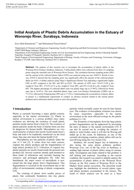 Initial Analysis of Plastic Debris Accumulation in the Estuary of Wonorejo River, Surabaya, Indonesia