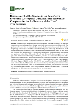 Reassessment of the Species in the Euwallacea Fornicatus (Coleoptera: Curculionidae: Scolytinae) Complex After the Rediscovery of the “Lost” Type Specimen