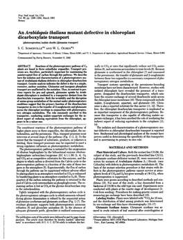 Dicarboxylate Transport (Photorespiration/Malate Shuttle/Glutamine Transport) S