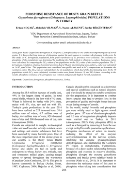 PHOSPHINE RESISTANCE of RUSTY GRAIN BEETLE Cryptolestes Ferrugineus (Coleoptera: Laemophloeidae) POPULATIONS in TURKEY