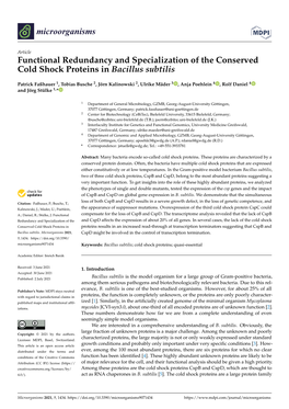 Functional Redundancy and Specialization of the Conserved Cold Shock Proteins in Bacillus Subtilis