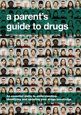 A Parents Guide to Drugs 2014