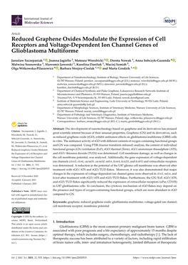 Reduced Graphene Oxides Modulate the Expression of Cell Receptors and Voltage-Dependent Ion Channel Genes of Glioblastoma Multiforme