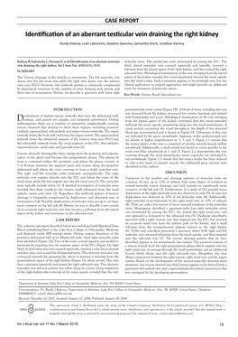 Identification of an Aberrant Testicular Vein Draining the Right Kidney