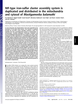 NIF-Type Iron-Sulfur Cluster Assembly System Is Duplicated and Distributed in the Mitochondria and Cytosol of Mastigamoeba Balamuthi