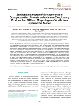 Echinostoma Macrorchis Metacercariae in Cipangopaludina Chinensis Malleata from Xiengkhuang Province, Lao PDR and Morphologies of Adults from Experimental Animals