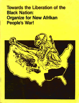 Towards the Liberation of the Black Nation: Organize for New Afrikan People's War! They Thought They Killed You, but I Saw You Yesterday