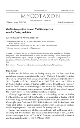 &lt;I&gt;Buellia, Lempholemma,&lt;/I&gt; and &lt;I&gt;Thelidium&lt;/I&gt; Species New for Turkey and Asia
