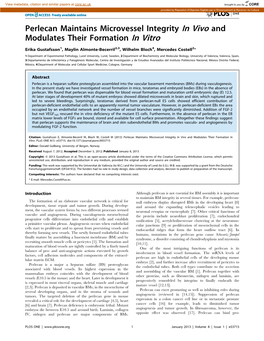 Perlecan Maintains Microvessel Integrity in Vivo and Modulates Their Formation in Vitro