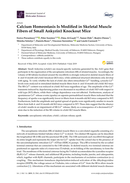 Calcium Homeostasis Is Modified in Skeletal Muscle Fibers of Small