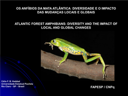 Os Anfíbios Da Mata Atlântica: Diversidade E O Impacto Das Mudanças Locais E Globais Atlantic Forest Amphibians: Diversity An