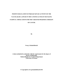 Positive Regulation of Pkb/Akt Kinase Activity by The