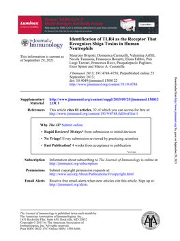 Neutrophils Recognizes Shiga Toxins in Human Identification of TLR4 As