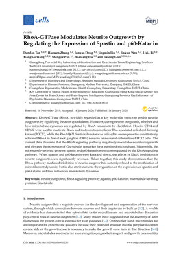 Rhoa-Gtpase Modulates Neurite Outgrowth by Regulating the Expression of Spastin and P60-Katanin