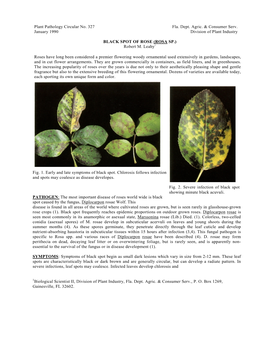 Plant Pathology Circular No. 327 Fla. Dept. Agric. & Consumer Serv