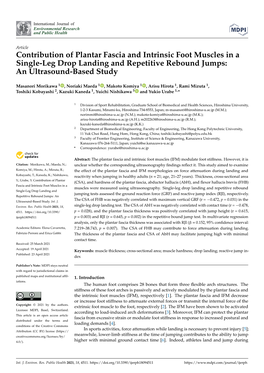 Contribution of Plantar Fascia and Intrinsic Foot Muscles in a Single-Leg Drop Landing and Repetitive Rebound Jumps: an Ultrasound-Based Study