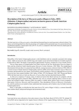 Description of the Larva of Mnesarete Pudica (Hagen in Selys, 1853) (Odonata: Calopterygidae) and Notes on Known Genera of South American Calopterygidae Larvae