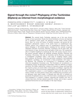 Phylogeny of the Tachinidae (Diptera) As Inferred from Morphological Evidence