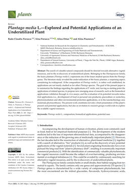 Plantago Media L.—Explored and Potential Applications of an Underutilized Plant