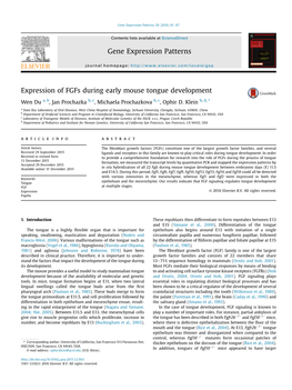 Expression of Fgfs During Early Mouse Tongue Development