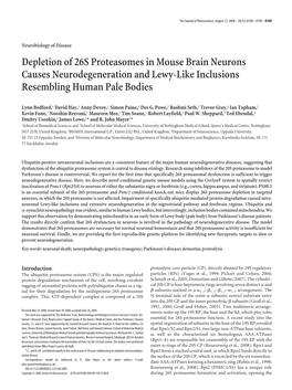 Depletion of 26S Proteasomes in Mouse Brain Neurons Causes Neurodegeneration and Lewy-Like Inclusions Resembling Human Pale Bodies