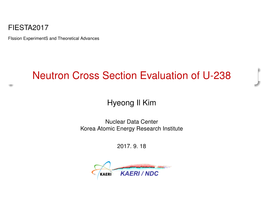 Neutron Cross Section Evaluation of U-238