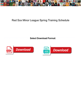 Red Sox Minor League Spring Training Schedule
